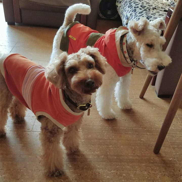 E55946e7 90c8 4312 8e2d a943e5791a8f