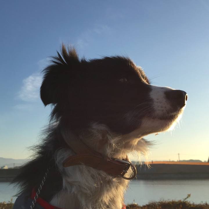 E55978db 503c 481d b284 7b285a745e06