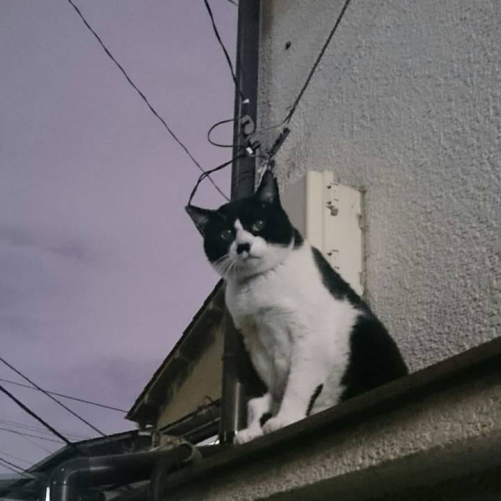 E559d10a 6422 4745 92f0 8218ad1b7a61