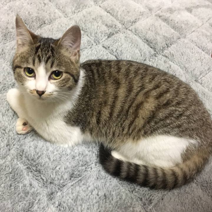 E55a3b15 d53e 40b2 9b7b 85370e762e65