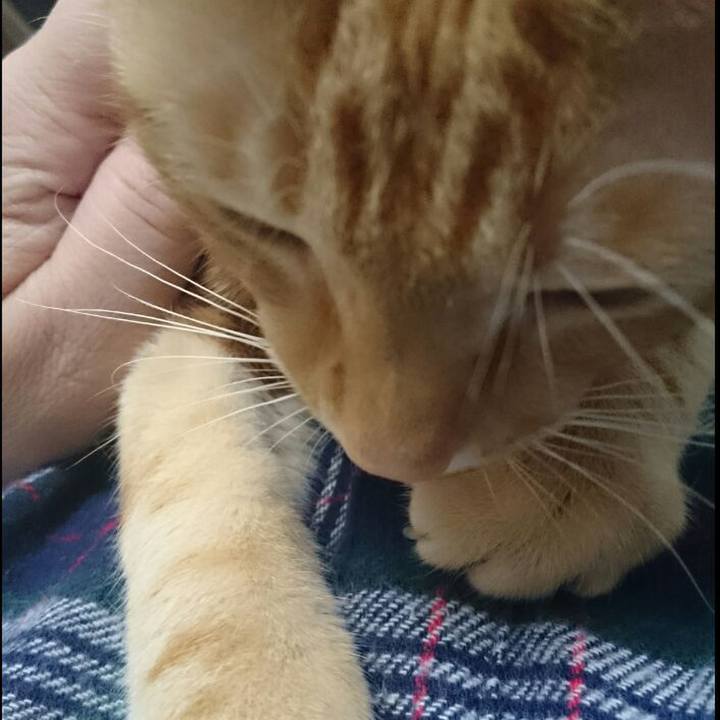 E55ac6d9 6214 4ad3 bbbb 98f2f3256b2a