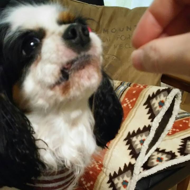 E55ad1da 6a14 4b21 a135 d982de68567f