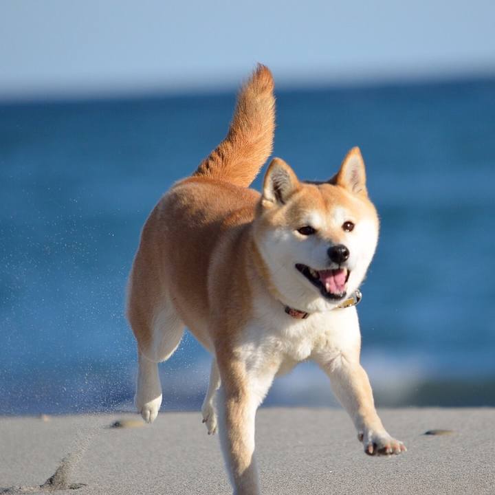 E55aff53 eeb1 459e 9097 3597a6e3378e