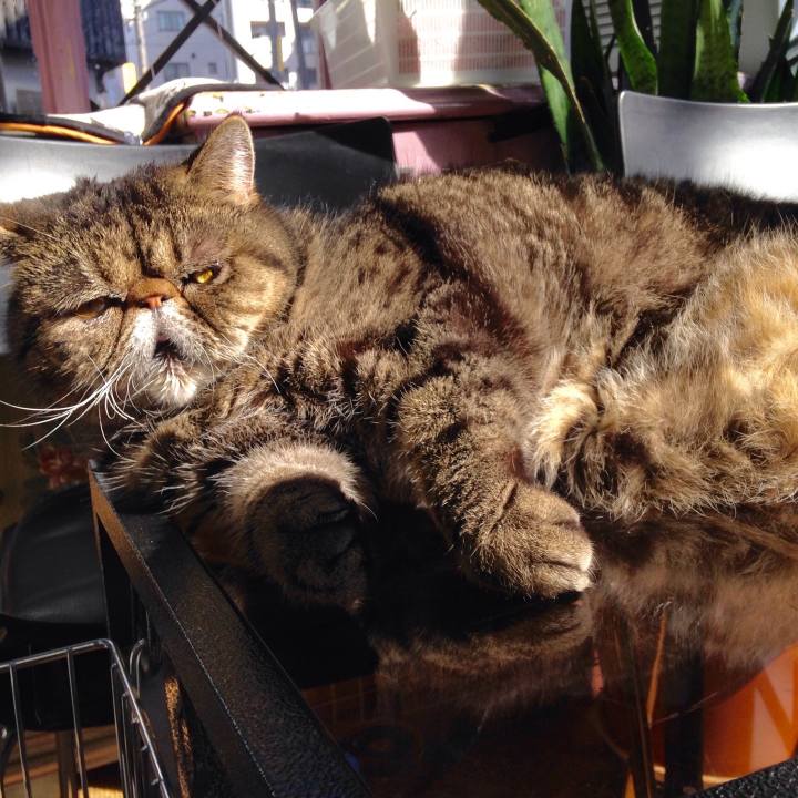 E55b9748 0221 4cf1 811c 862d6ab80603