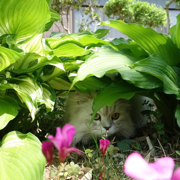 E55b9d2a 7d72 4603 8e41 a72cb382e102