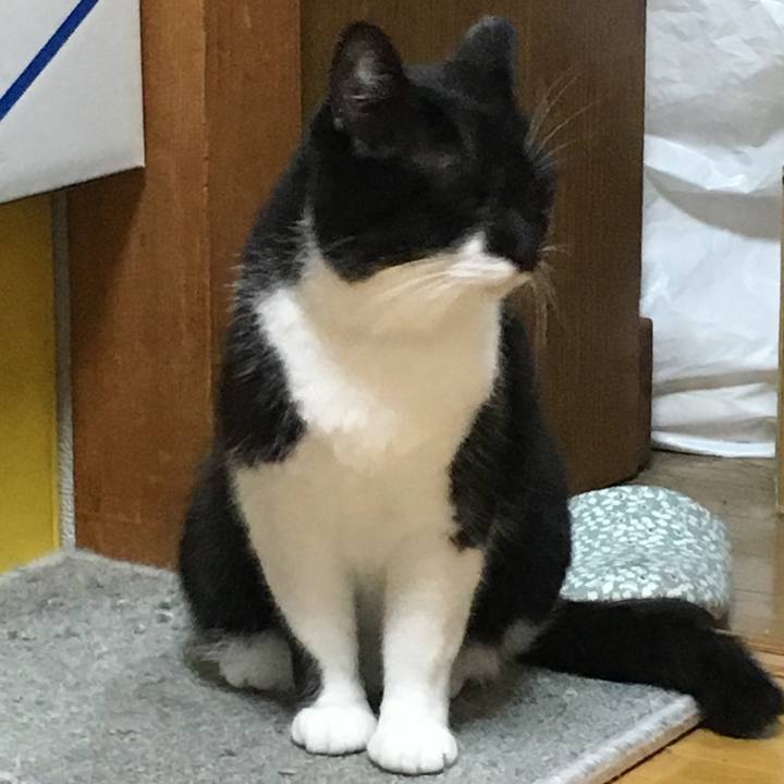 E55bfde0 e4fa 42ab ad67 ffd61dd70f63