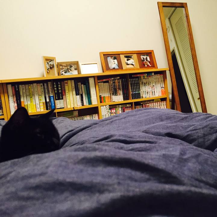 E55c017e b43a 40b0 b6e7 9206a29e5111