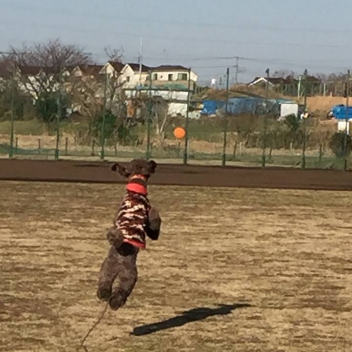 E55d0d7a b0f7 49fc 9f52 100a851c4732