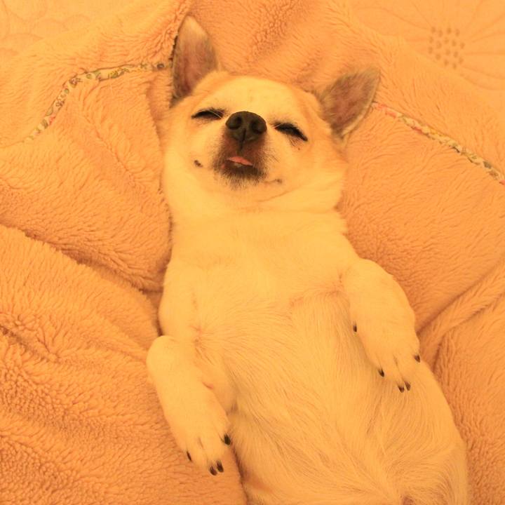 E55d778f a507 44ec bf97 87e406cd0fdf