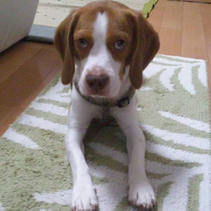 E55d979a cb35 44db 8544 1dab826f2f75