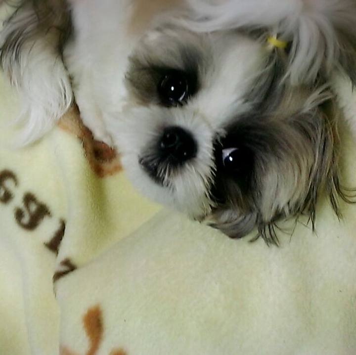 E55da3f0 6d7f 409d b732 62d5f8fcfddb