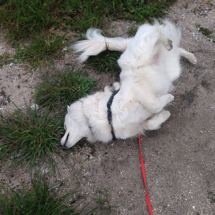 E55e5430 944d 4216 9caa ea60fd2bfa7f