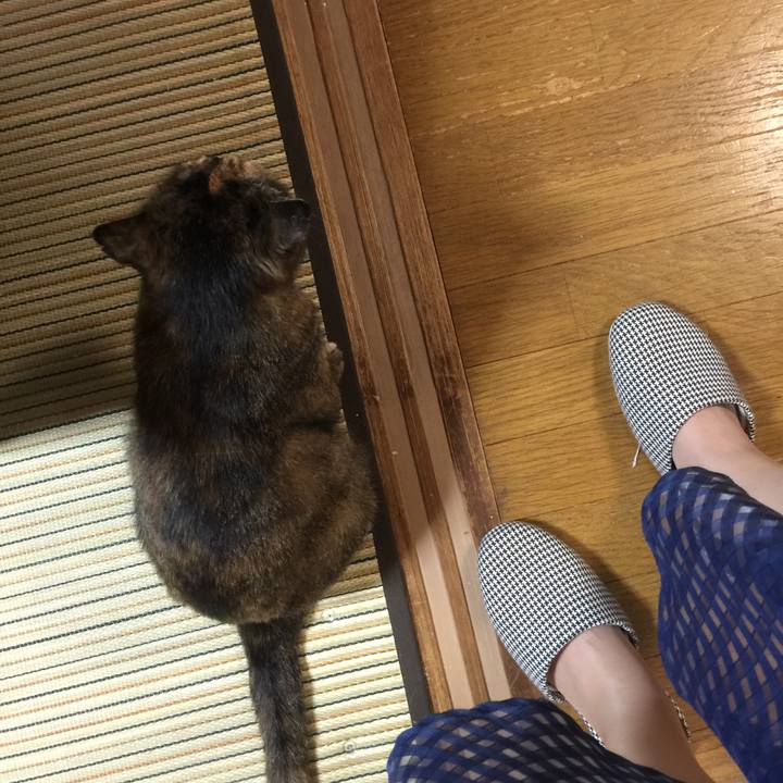 E55ec044 5ab3 446c b28d e2830845a7c0