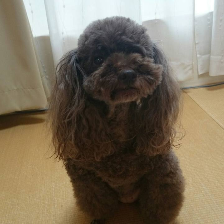 E55ec57c 665a 47a1 893a 6d8e879b6f2c