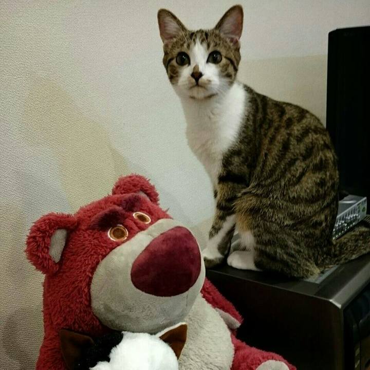 E55ee7f1 bdbf 4b53 b106 7f860dd3aefe