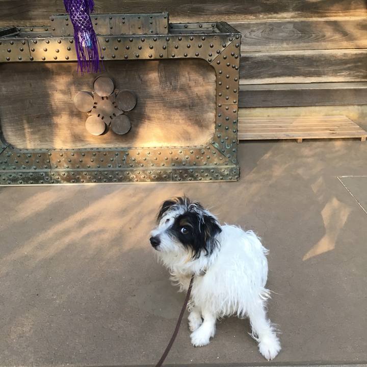 E55fd01e b5d8 43ad 947f e7913cd40a8f