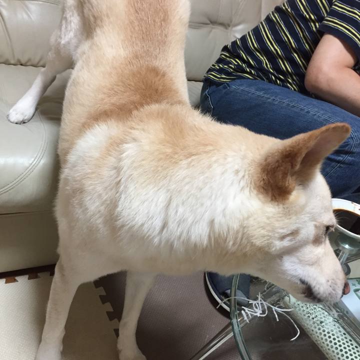 E5609694 e144 49ca a3e8 349b62c72028