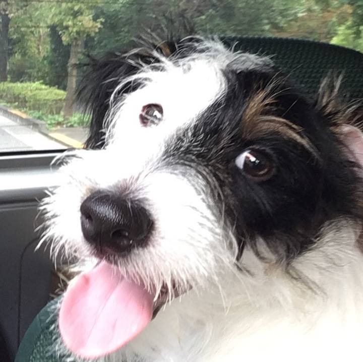 E560f216 d7e5 4192 b26e c139e44cd51b