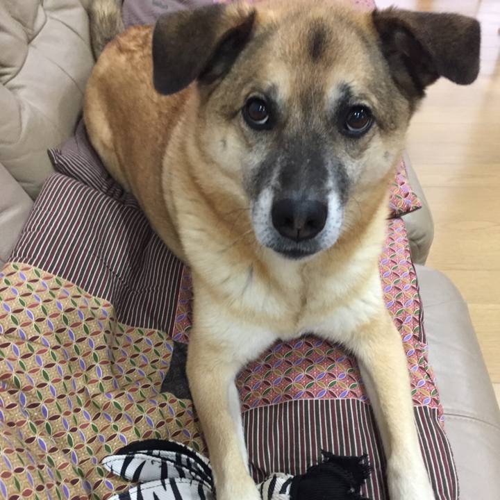 E5617870 83f7 4ad9 a43a ef7c0c1962c9