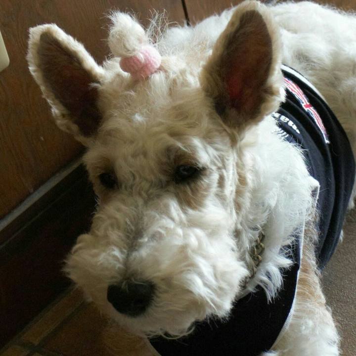 E5621c4e 7a38 4209 b620 f49b0fda7cd3