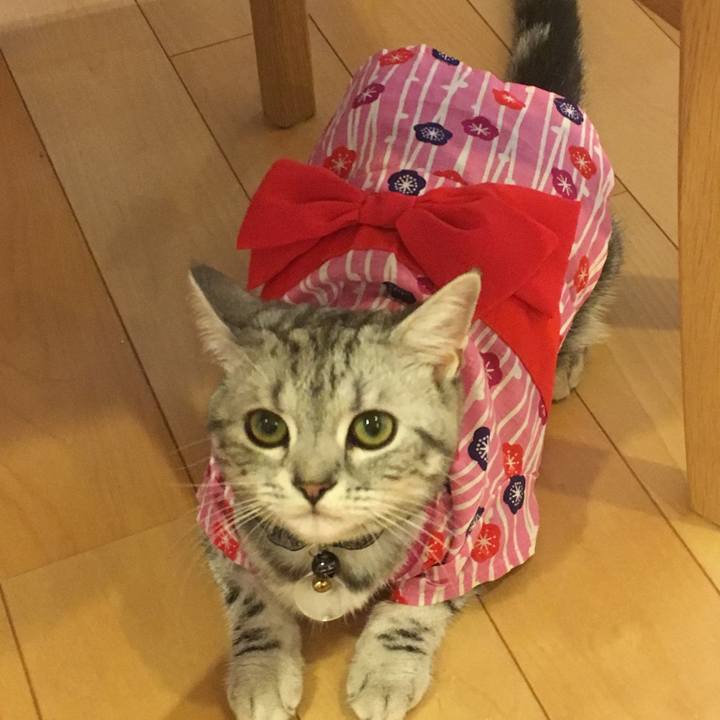 E5624dd0 efd6 4599 8716 8fc9f921ff95