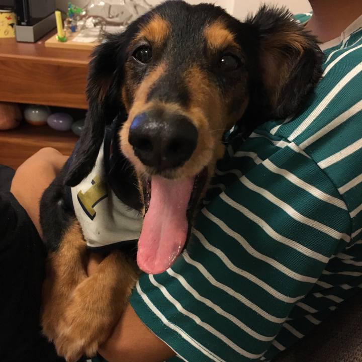 E562a672 1451 4f90 8344 c6fb40f7ba8c