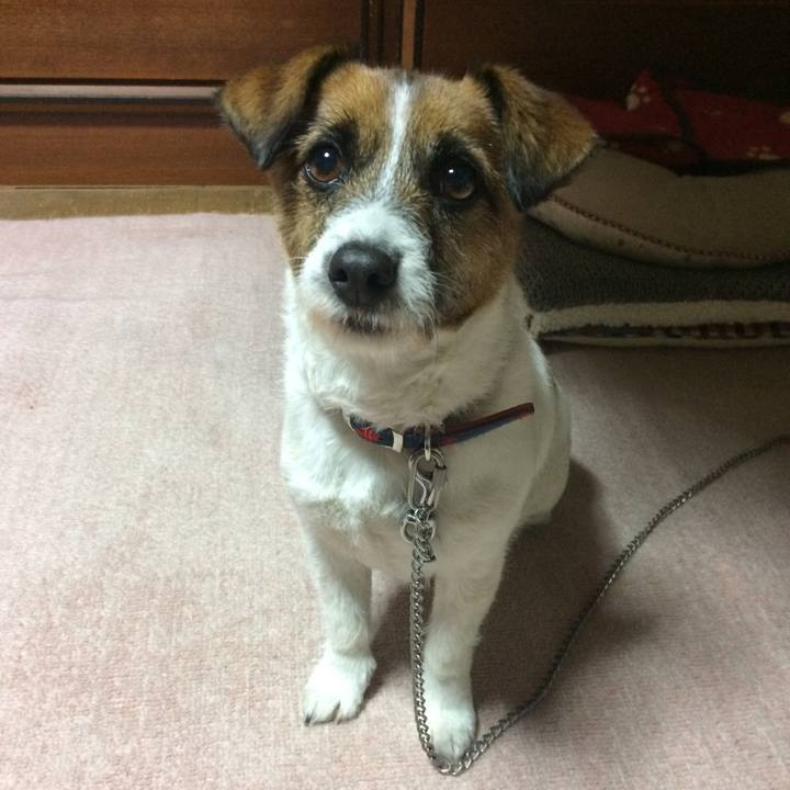 E562cc6f 6f4d 4800 8d15 835e6d9e7966