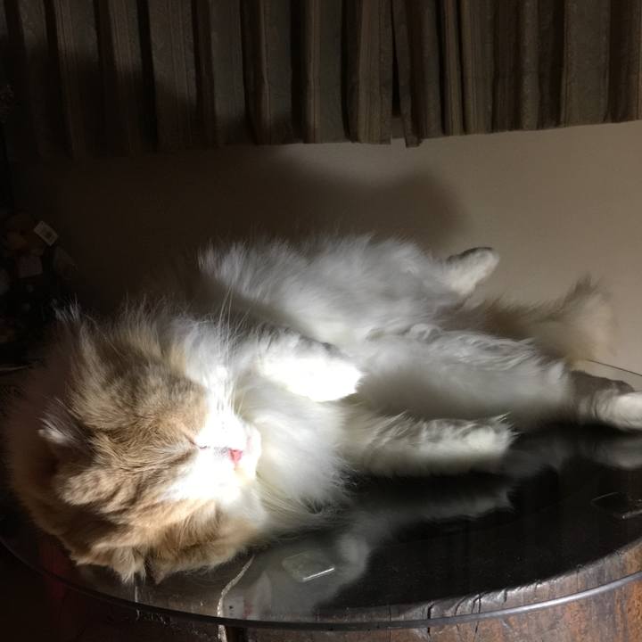 E562d892 2432 4389 8986 7ed4f997c4a7