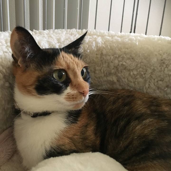 E563a98e 6d10 4d8e bbb0 046b3967ae30