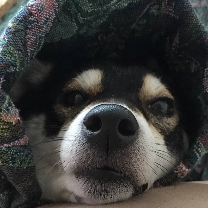 E563d202 c5d2 4a17 af29 7bfff22df9e0