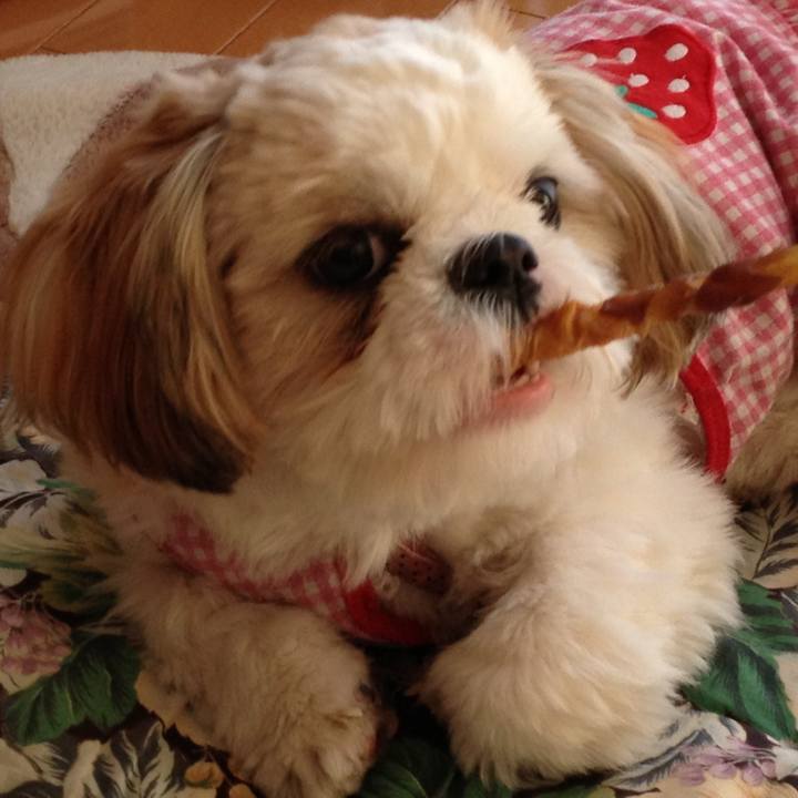 E5640a38 d466 43c8 8751 64feba6277d3