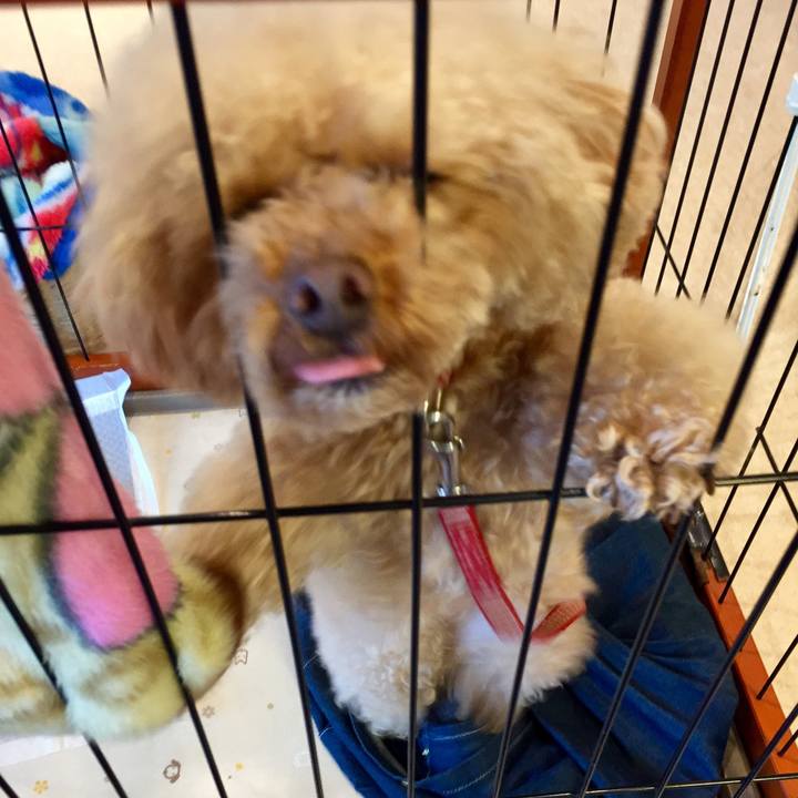 E56470a7 88f7 44c9 8cff 233ec9e571a1