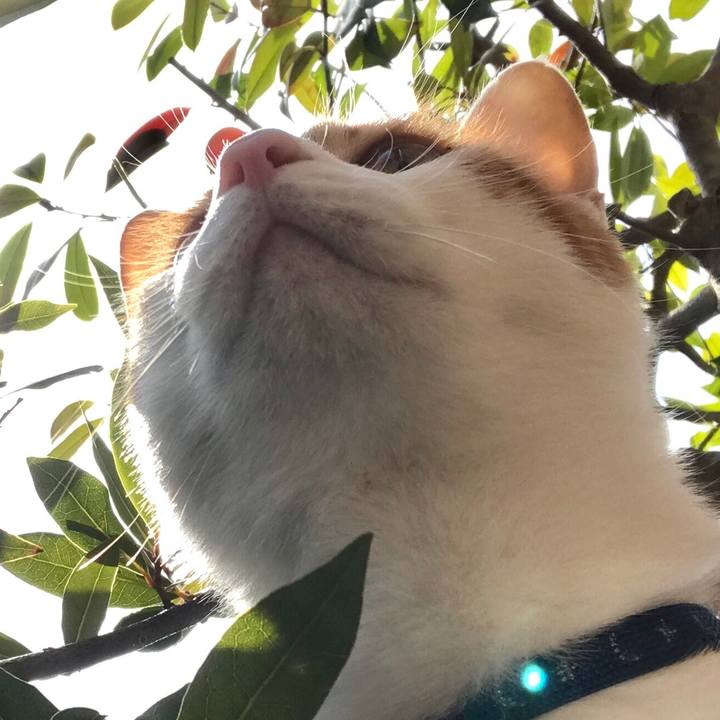 E56475bd 44e3 44e5 b0c4 73bfb736b54e