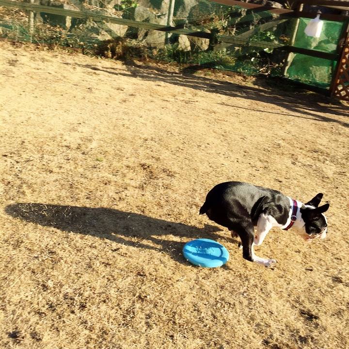 E564936f 871a 45f9 8821 80da3d8360cd