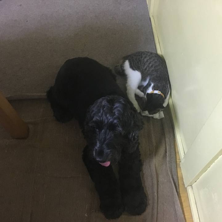 E564cbf3 4dbf 4368 9806 c6ebaa132114