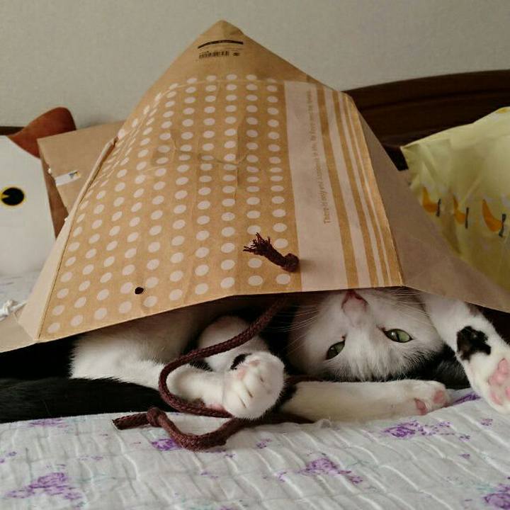 E5653949 6231 46b7 81c5 649e520d2977