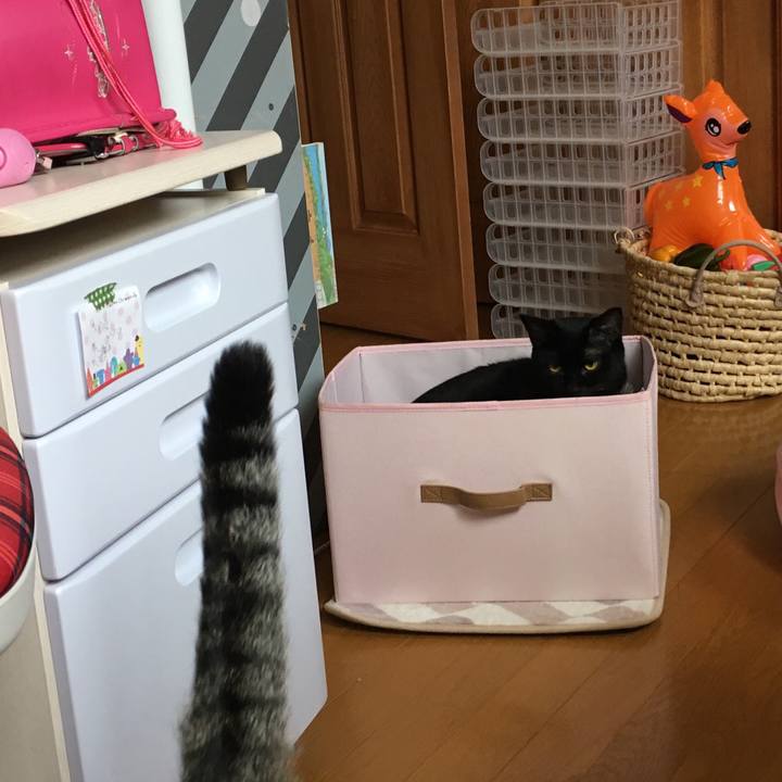 E56586de b316 4337 b421 9d687a8c1483