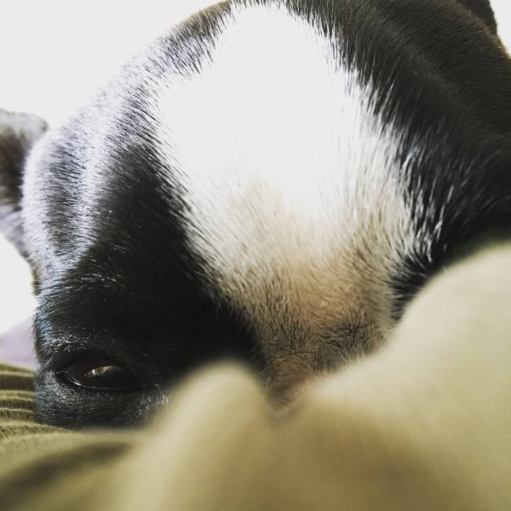 E565be15 50a2 49e6 8785 9fdbd3608a18