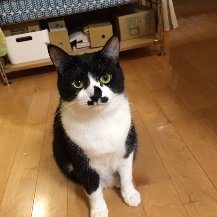 E565ea57 7332 4907 b7b7 dedc7109f7b7