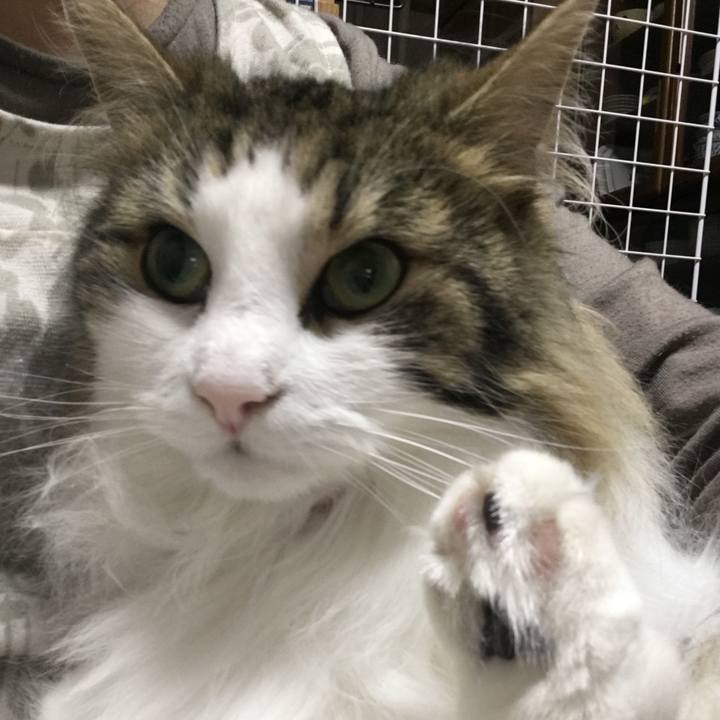 E56613e3 3c4e 4175 8ff7 7c326259fb90