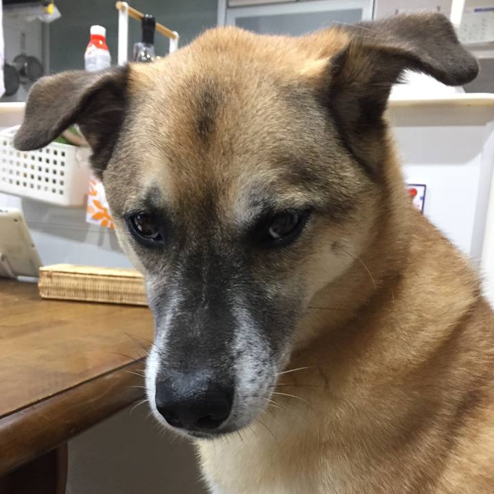 E56665fc d5db 4d49 a06e cad4096e8357