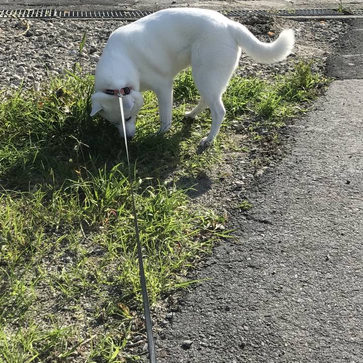 E5674ea0 1ae4 4114 80c4 7f6dd1c8f1ae