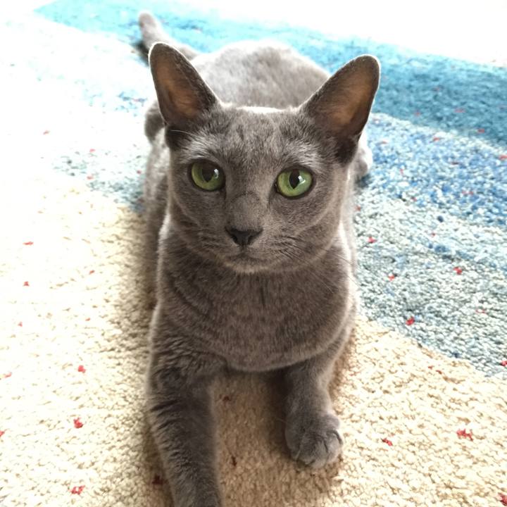 E567b010 1dd3 4f2f 8c30 83d6caa91d94