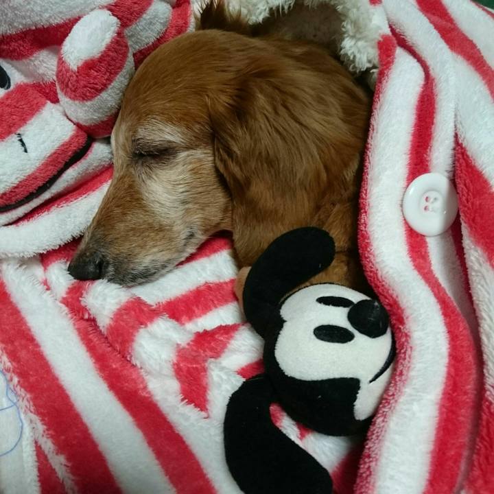 E567b0c7 a227 4824 81cf 73b80df45eec