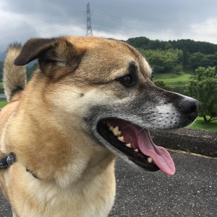 E567b76d 582d 4e00 900c d5b207638a17