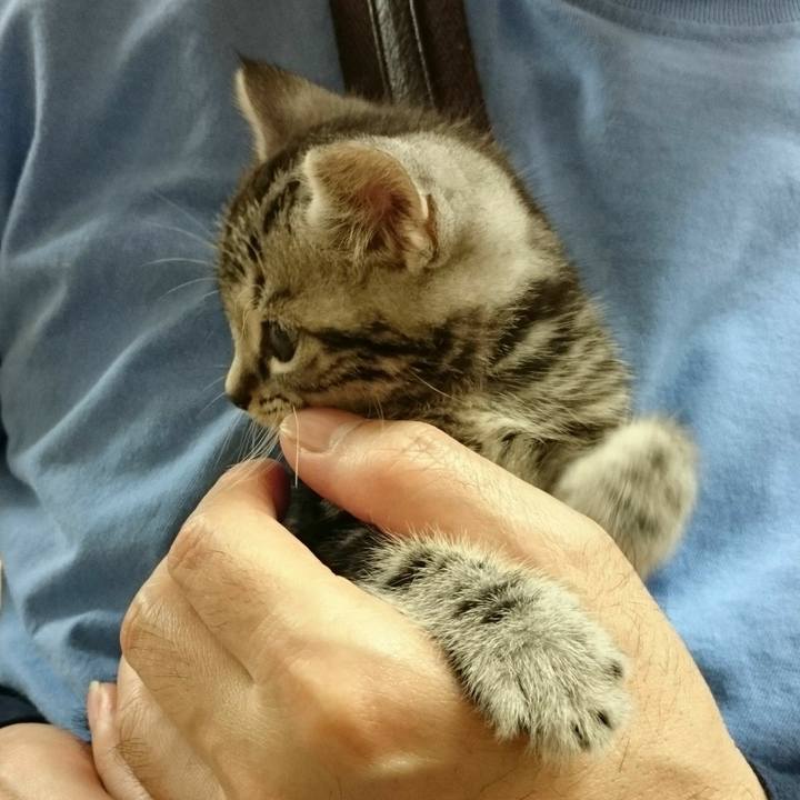 E567eeed f4ad 4178 a79f 80adc3895dc8