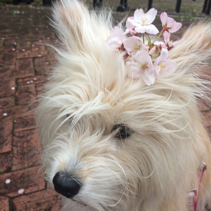 E5685832 491f 4058 9e37 d516cc19a1ef