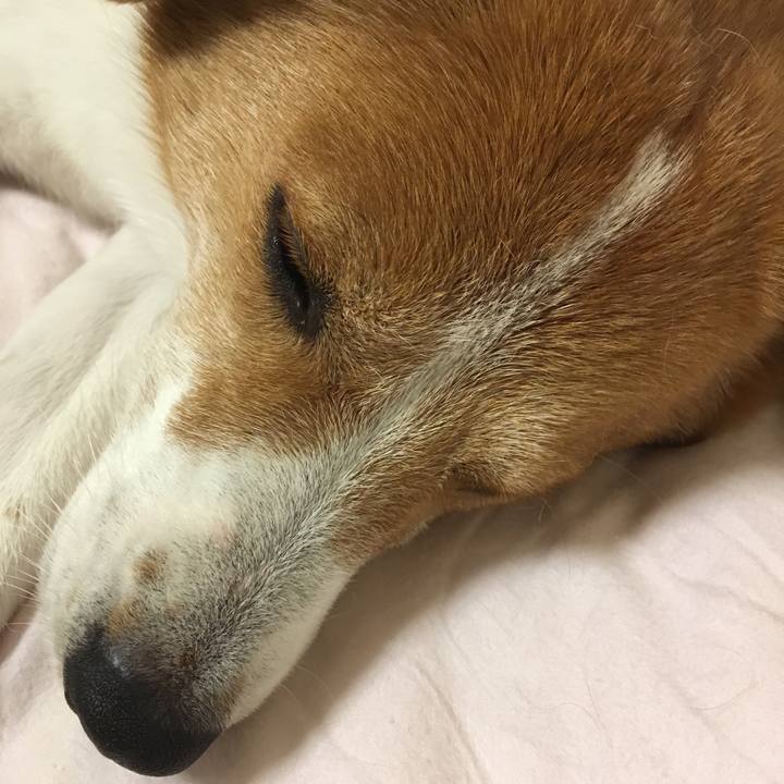 E5689b7e b96a 417a 9141 95fb4036f305