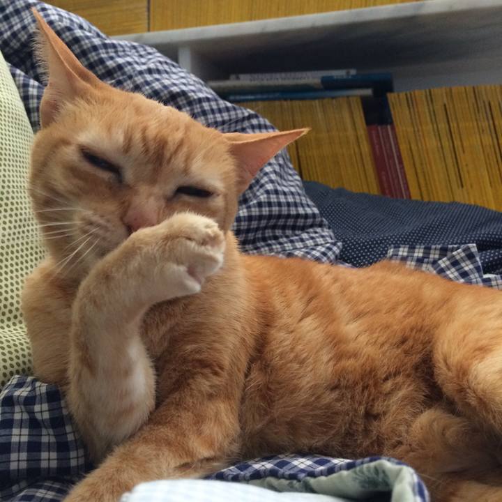 E568c98b d7df 4c9b 9d92 edbd9a352945