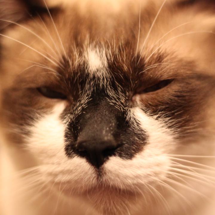 E568e9bf 57c4 46d8 abea 1b1ebb1fe97c